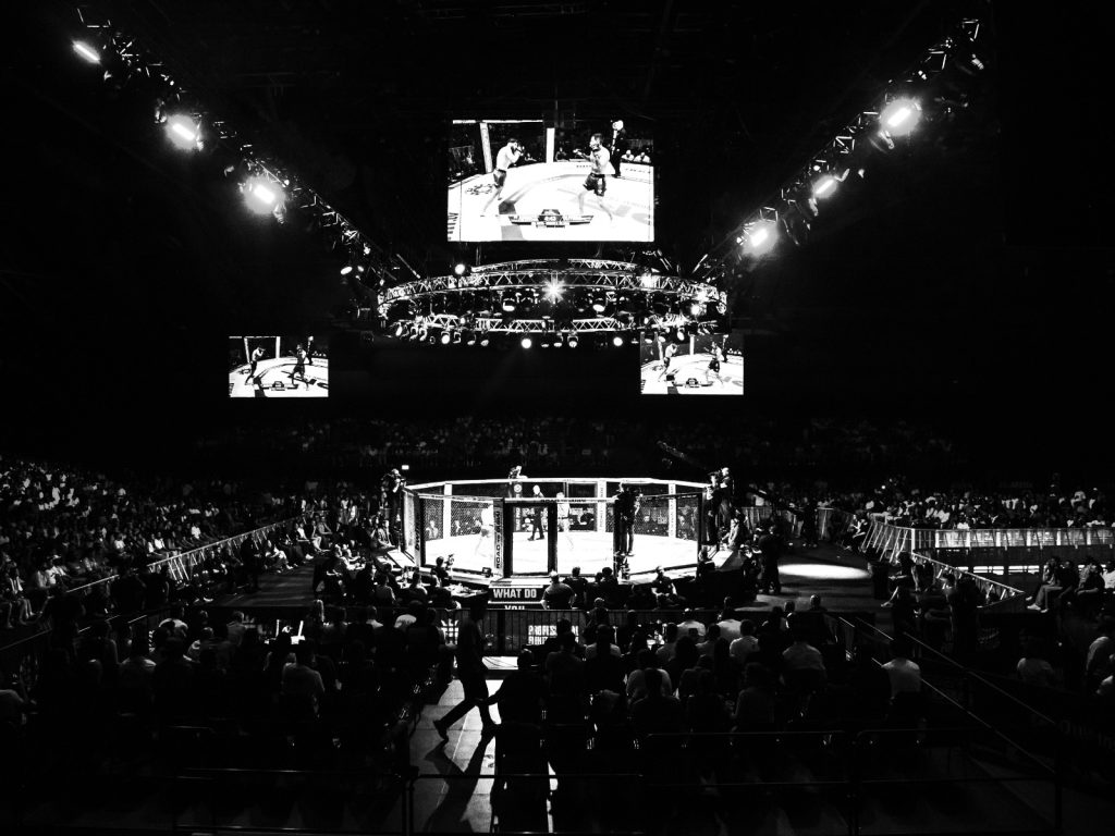 Cage at PFL in Brussels
