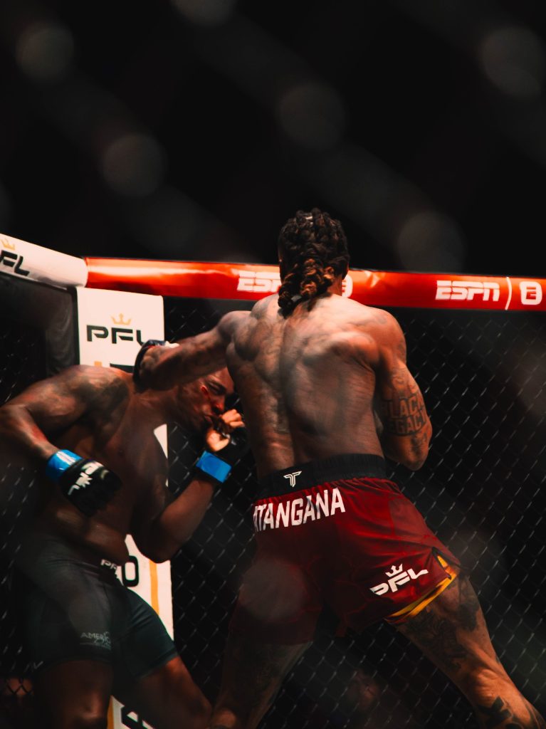 Fight at PFL at ING Arena